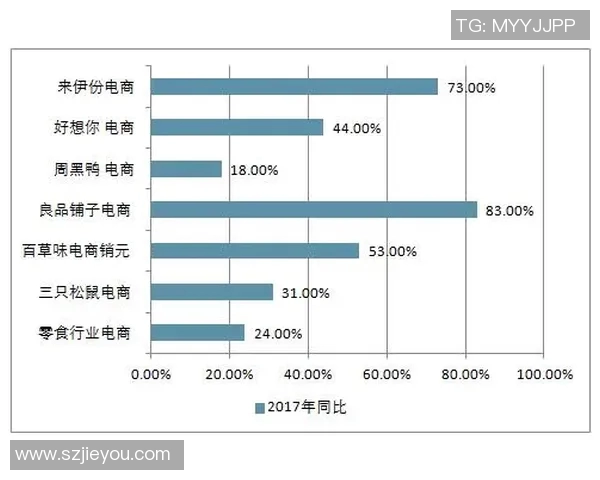 南京羽毛球队转型之路的成败得失与未来展望分析 南京羽毛球队转型之路的成败得失与未来展望分析
