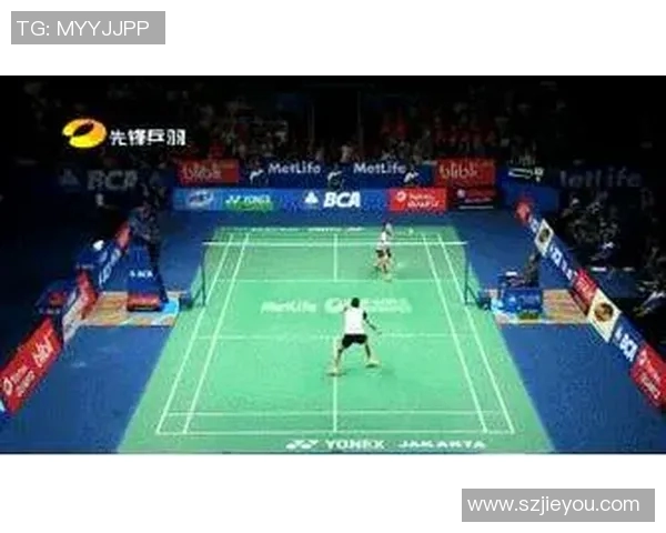 南京羽毛球队独特控制打法深度解析与战术运用探讨