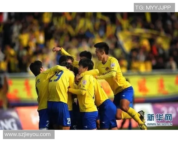 深圳乒乓球队总决赛表现分析：个人能力与团队协作的完美结合