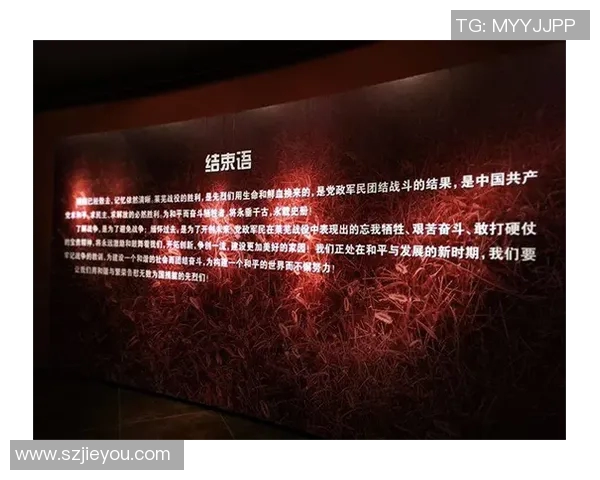 南京乒乓球队挑战赛背后的成长历程与奋斗精神全景揭秘